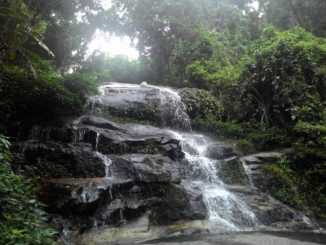 mha loss mitigation waterfall