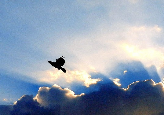 The Silver Lining to Filing Bankruptcy