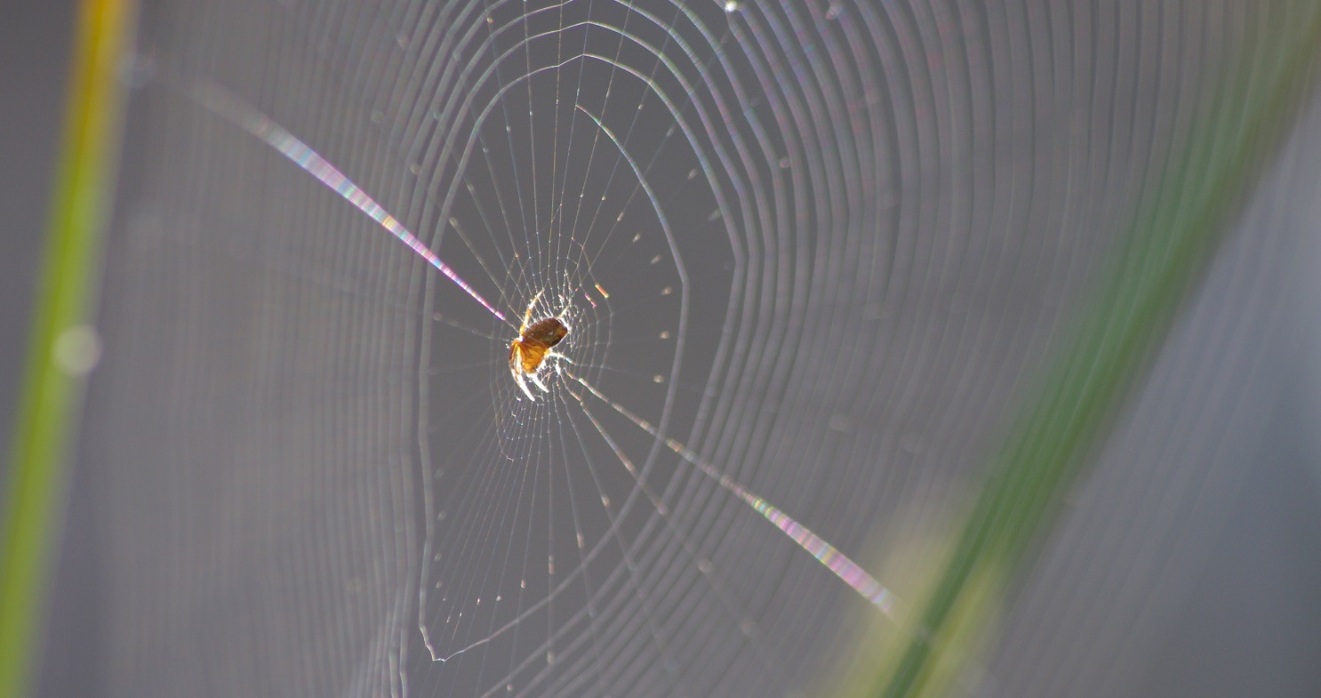 Tips for Litigating a Warrant in Debt in Virginia