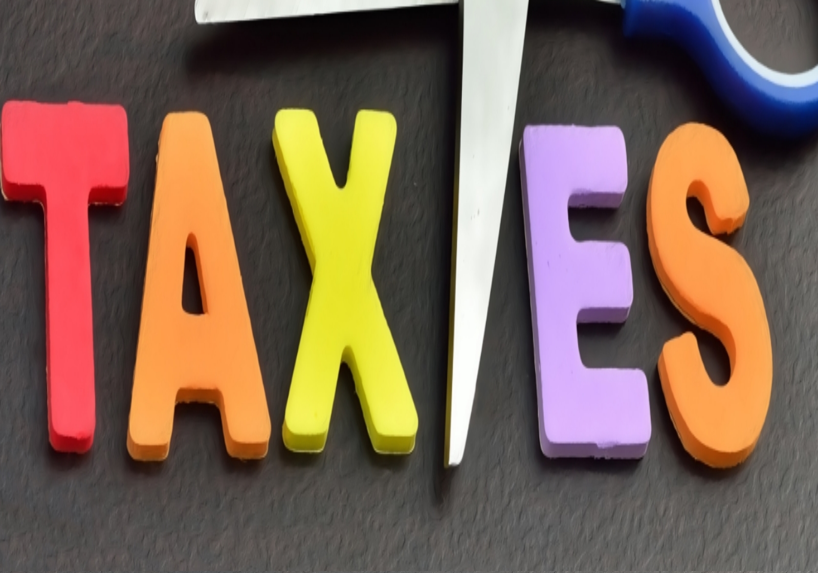 Use Your Tax Refund to File Bankruptcy