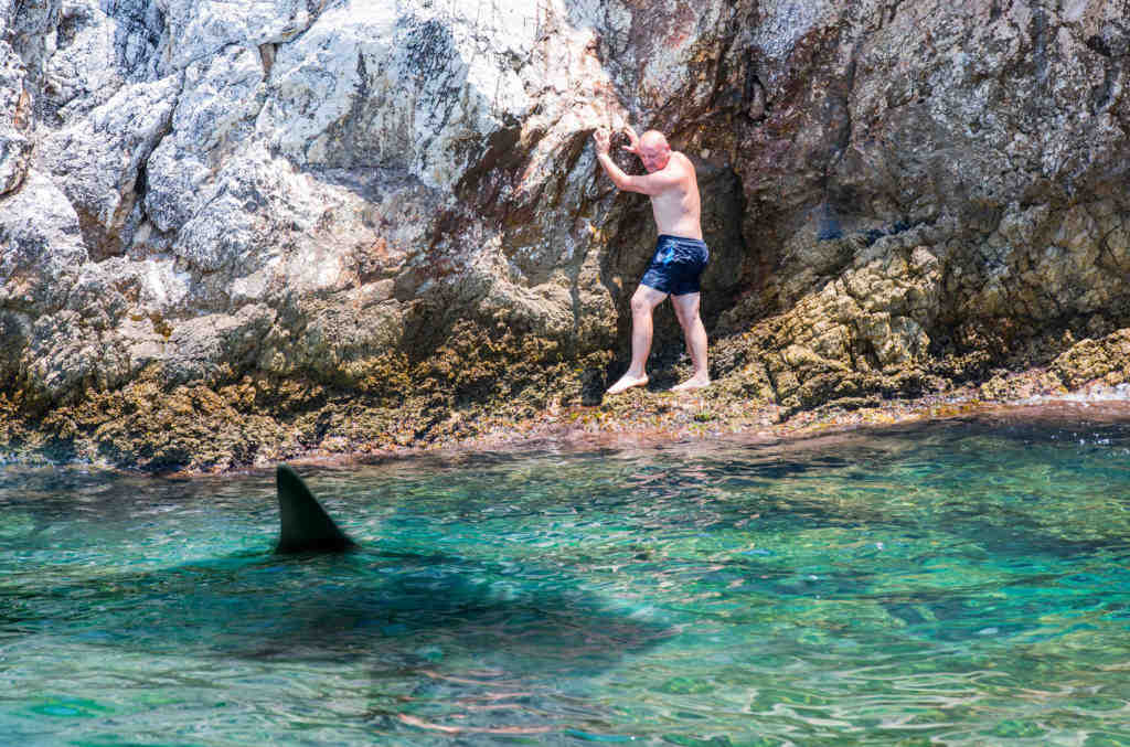 Don’t Face Your Debt Alone