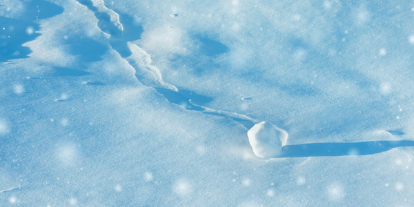 The Debt Snowball and the Debt Avalanche